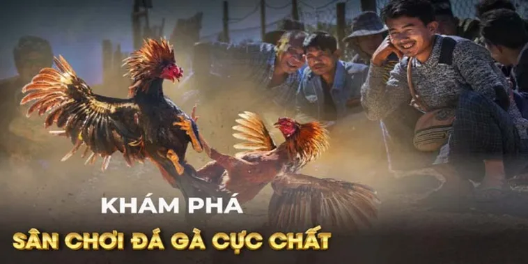 Bật Mí Cách Chơi Đá Gà GA28 Tại 188Bet Từ Các Cao Thủ Hàng Đầu 2 Bật Mí Cách Chơi Đá Gà GA28 Tại 188Bet Từ Các Cao Thủ Hàng Đầu