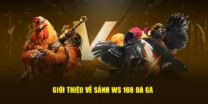 Bí Kíp Chơi Đá Gà WS168 Tại 188Bet Thắng Lớn Từ Cao Thủ 2 Bí Kíp Chơi Đá Gà WS168 Tại 188Bet Thắng Lớn Từ Cao Thủ