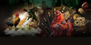 Bật Mí Cách Chơi Đá Gà GA28 Tại 188Bet Từ Các Cao Thủ Hàng Đầu 3 Bật Mí Cách Chơi Đá Gà GA28 Tại 188Bet Từ Các Cao Thủ Hàng Đầu